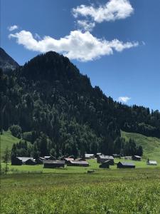 Príroda v okolí apartmánu