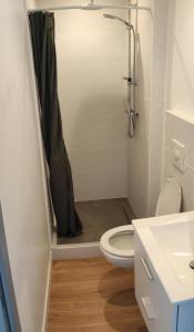 a bathroom with a shower with a toilet and a sink at Appart' Islande in Le Château-dʼOléron