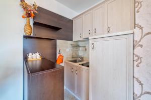 a kitchen with white cabinets and a counter top at Zlatiborski Konaci in Zlatibor