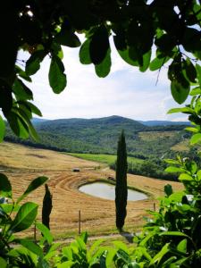 a view of a field with a lake in the middle at Agriturismo Selvella in Allerona
