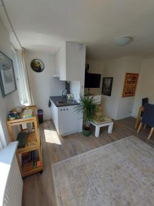 a room with a kitchen and a living room at Feels Like Home in Haarlem