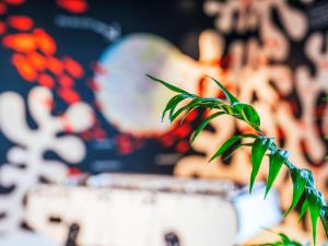 Fotografie z fotogalerie ubytování ibis Styles Le Treport Mers Les Bains v destinaci Mers-les-Bains