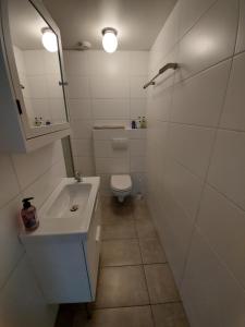 uma casa de banho com um lavatório, um WC e um espelho. em Feels Like Home em Haarlem