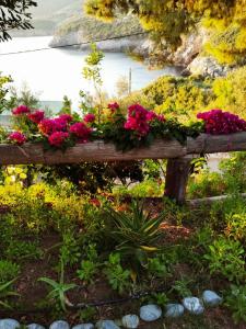 een houten bank gevuld met bloemen in een tuin bij Dialiskari #2 in Limniónas