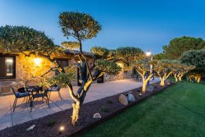 Petrignano的住宿－聖母安茨絡迪酒店，夜晚在院子里的一排树木