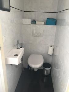 ein weißes Bad mit einem WC und einem Waschbecken in der Unterkunft Bed and Breakfast Azzurro in Bokhoven