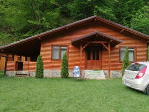 a log cabin with a car parked in front of it at Cabana Dan in Şugag +16 photos