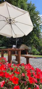 Zahrada ubytování Villa Carmen