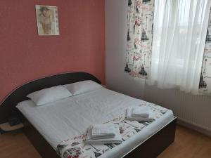 - une chambre avec un lit et 2 serviettes dans l'établissement HOTEL RIVER, à Târgu Jiu