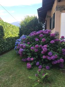 Zahrada ubytování Al Chiar di Luna B&B Valtellina