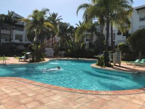 una persona nadando en una piscina con palmeras en Apartment Costalita, direct beach access, ground floor, salt water pool, en Estepona