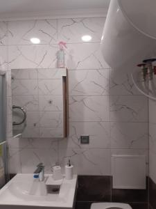 Vonios kambarys apgyvendinimo įstaigoje Atmodas studio