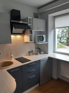 uma cozinha com armários cinzentos, um lavatório e uma janela em Atmodas studio em Liepāja