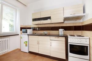 Kuchnia lub aneks kuchenny w obiekcie Hotel Medlov Depandance