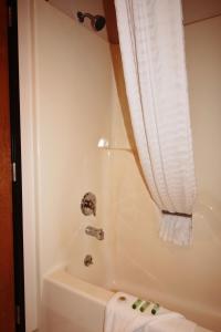 a bathroom with a tub and a shower with a window at Homestead Inn and Suites in Hardin