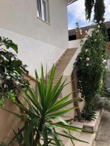 Vonkajšia záhrada v ubytovaní Apartments Talija Podgora