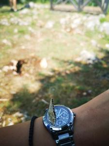 Imagem da galeria de Apartman Best Zlatar em Nova Varoš mais 5 fotografias