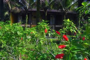Um jardim em Pousada Baobá