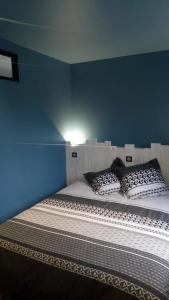 Camera blu con letto e due cuscini sopra di Au numéro 2 Le Zen a Châteauroux