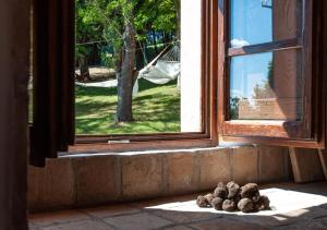 Zahrada ubytování Agriturismo Il Poggio, Casa Rosa