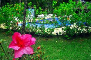 Um jardim em Pousada Baobá