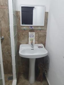 Ванна кімната в Pensiunea Iris