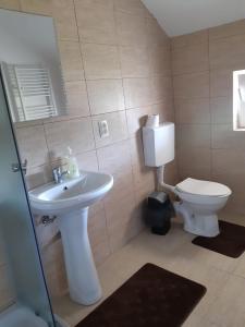 a bathroom with a sink and a toilet at Pensiunea agroturistica Casa Sirca in Boghiş