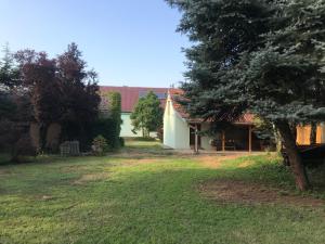 a yard with a white building and a tree at PB Urban Garden Villa in Sremska Mitrovica