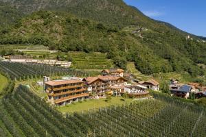 widok z powietrza na rezydencję w winnicy w obiekcie Hotel Kassian w mieście Lagundo