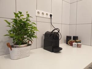 Una planta colocada sobre un mostrador junto a un altavoz. en Maria, en Timisoara