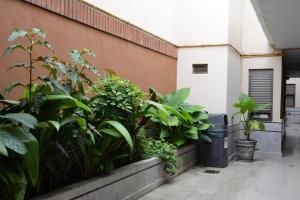 a garden of plants on a wall next to a building at Hotel Santa Cruz in Buenos Aires