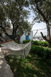a hammock on the grass next to some trees at La Villa Des Oliviers in Sidi Bou Saïd