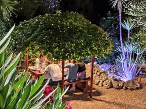 een groep mensen die aan een tafel onder een boom zitten bij Casa Vacanze la Paloma in Peschici