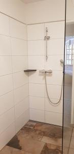 La salle de bains est pourvue d'une douche avec une porte en verre. dans l'établissement Gemütliche Ferienunterkunft direkt am Meer, à Holnis