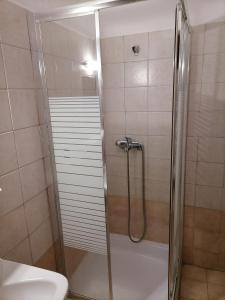 a shower with a glass door in a bathroom at Guesthouse Chotos in Samarína