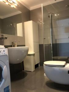 Koupelna v ubytování Apartament Ptasia