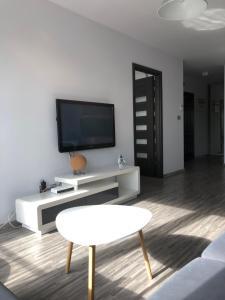TV a/nebo společenská místnost v ubytování Apartament Ptasia
