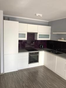 Kuchyň nebo kuchyňský kout v ubytování Apartament Ptasia + 3 fotografie