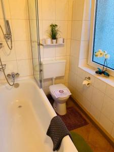 Ένα μπάνιο στο Apartment Apfel
