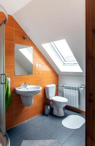 a bathroom with a toilet and a sink and a skylight at Bieszczadzki Kąt in Lesko