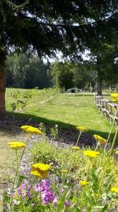 a garden with yellow flowers and a fence at Smrcina Resort in Smrčina