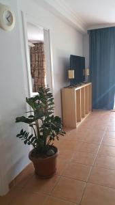um quarto com um vaso de plantas num piso de azulejo em Friendly Tejita em Granadilla de Abona
