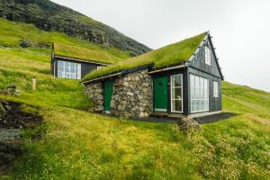 a house with a grass roof on a hill at The View in Bøur