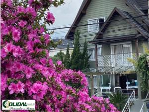 a bunch of pink flowers in front of a house at Olidal Pousada da Serra in Gramado