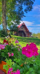 Garður fyrir utan Log cabin Uvac (Vikendica Saponjic)