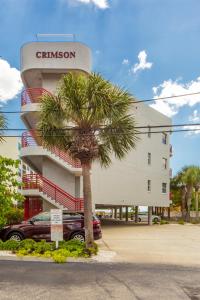 uma palmeira em frente a um edifício em 203 Crimson Condos em St. Pete Beach