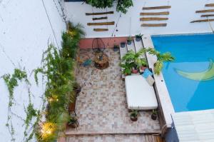 
a garden area with plants and a patio at Tulum Banana Hostel in Tulum
