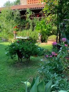 Jardín al aire libre en Casa Curlo