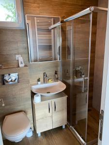 Gallery image of Silver Hill apartment in Kopaonik +38 photos