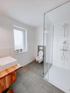 a bathroom with a glass shower and a toilet at W4-Rooms EIN ZUHAUSE IM WALDVIERTEL in Allentsteig